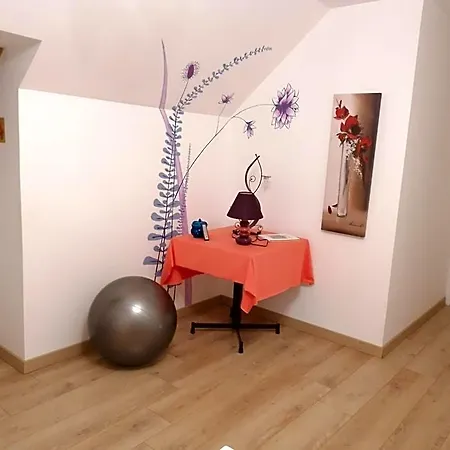 Chez Nicole Ballon-Saint-Mars