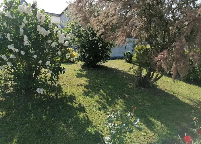 Chez Nicole Bed & Breakfast *